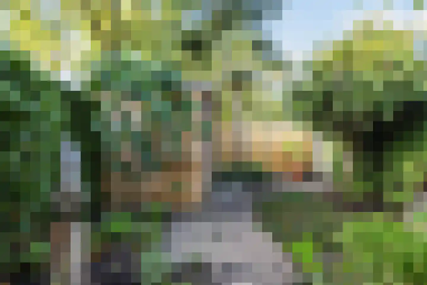 Drapeniersdonk 350 Apeldoorn thumbnail 28