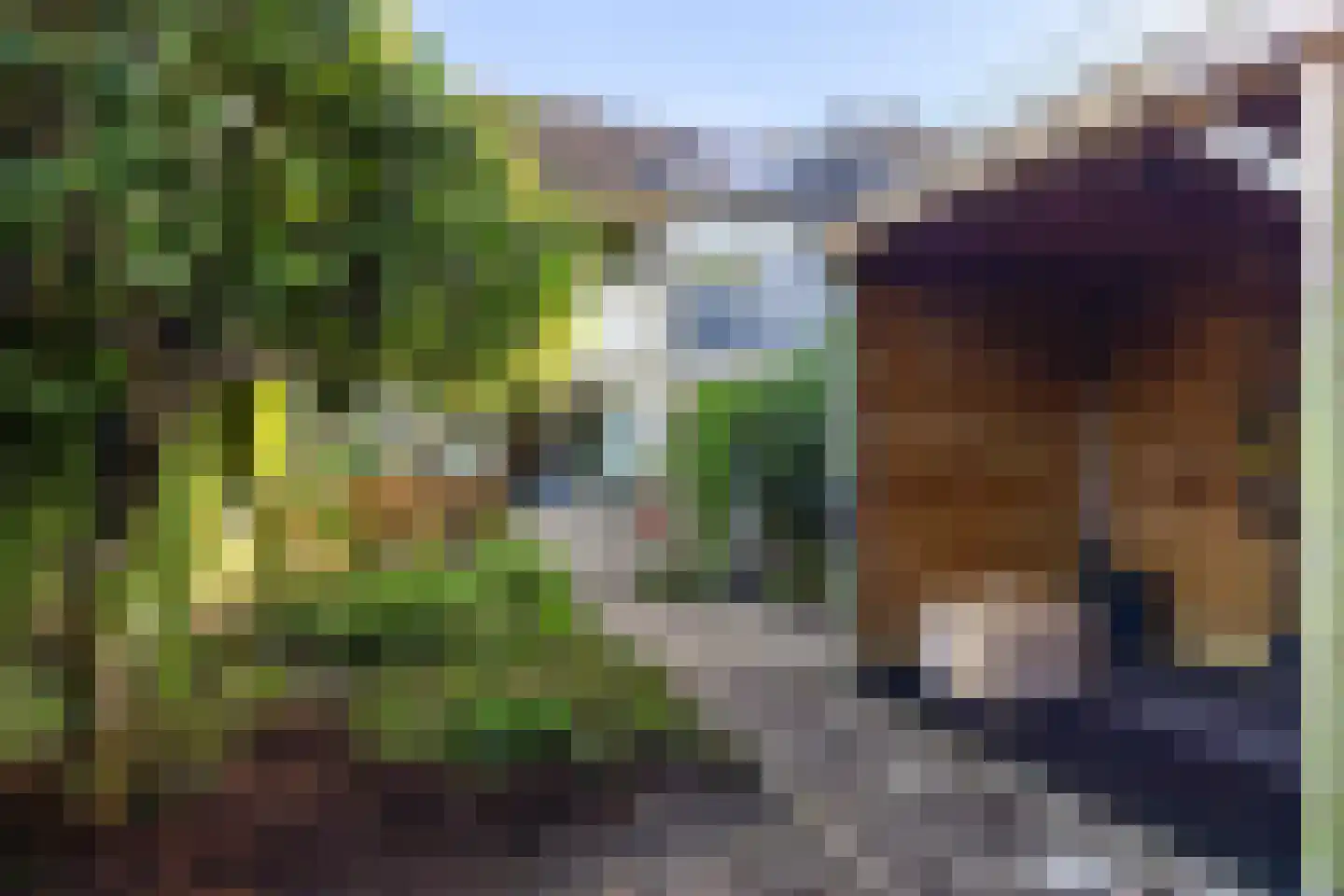 Drapeniersdonk 350 Apeldoorn thumbnail 29