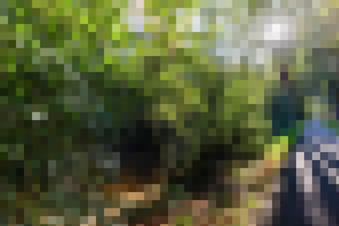 Drapeniersdonk 350 Apeldoorn thumbnail 31