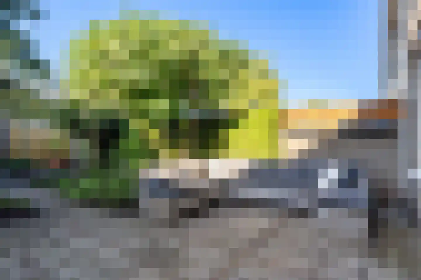 Drapeniersdonk 350 Apeldoorn thumbnail 5