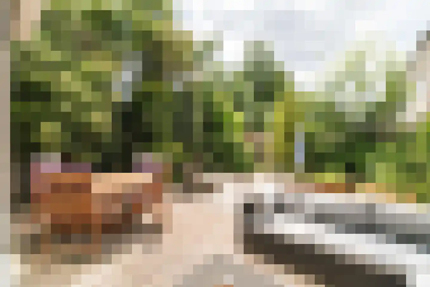 Drapeniersdonk 411 Apeldoorn thumbnail 13