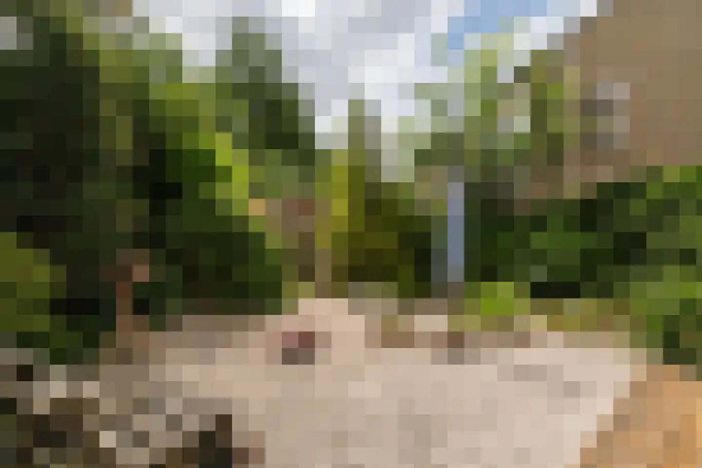 Drapeniersdonk 411 Apeldoorn thumbnail 14