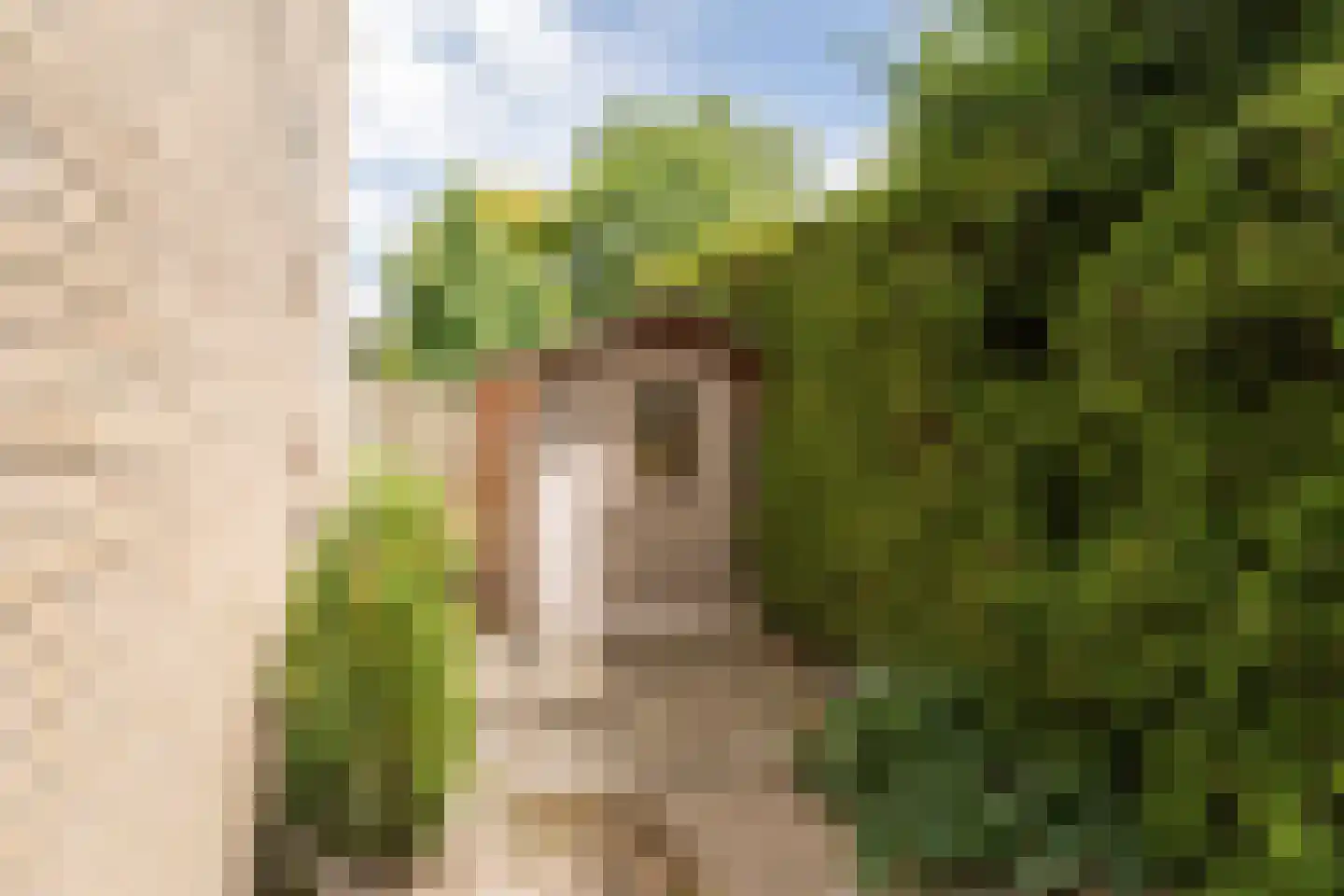 Drapeniersdonk 411 Apeldoorn thumbnail 15