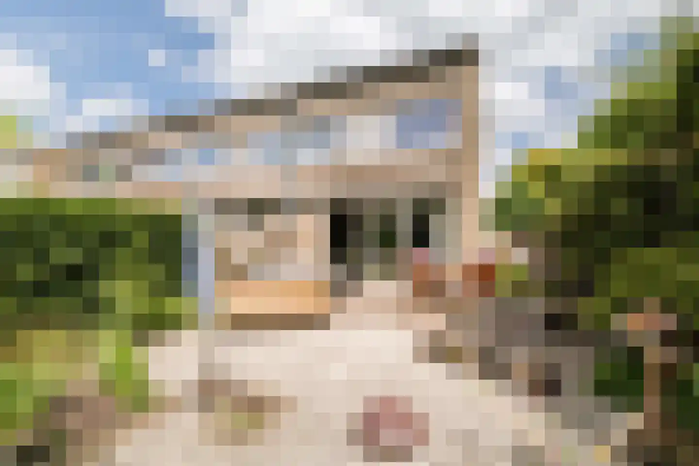 Drapeniersdonk 411 Apeldoorn thumbnail 16