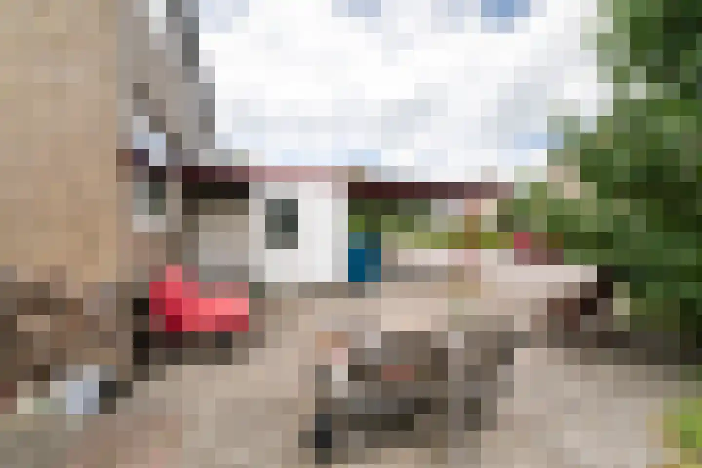 Drapeniersdonk 411 Apeldoorn thumbnail 18