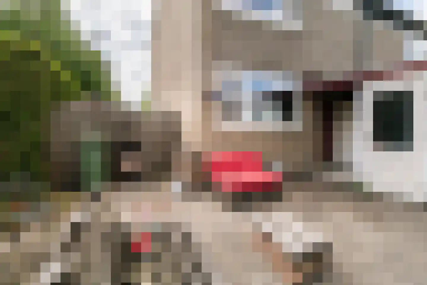 Drapeniersdonk 411 Apeldoorn thumbnail 19