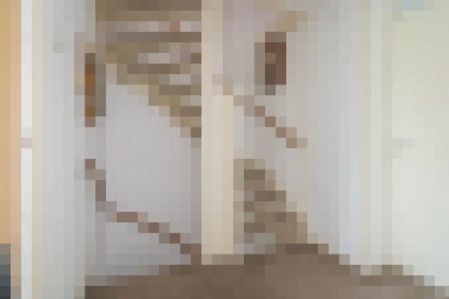 Drapeniersdonk 411 Apeldoorn thumbnail 20