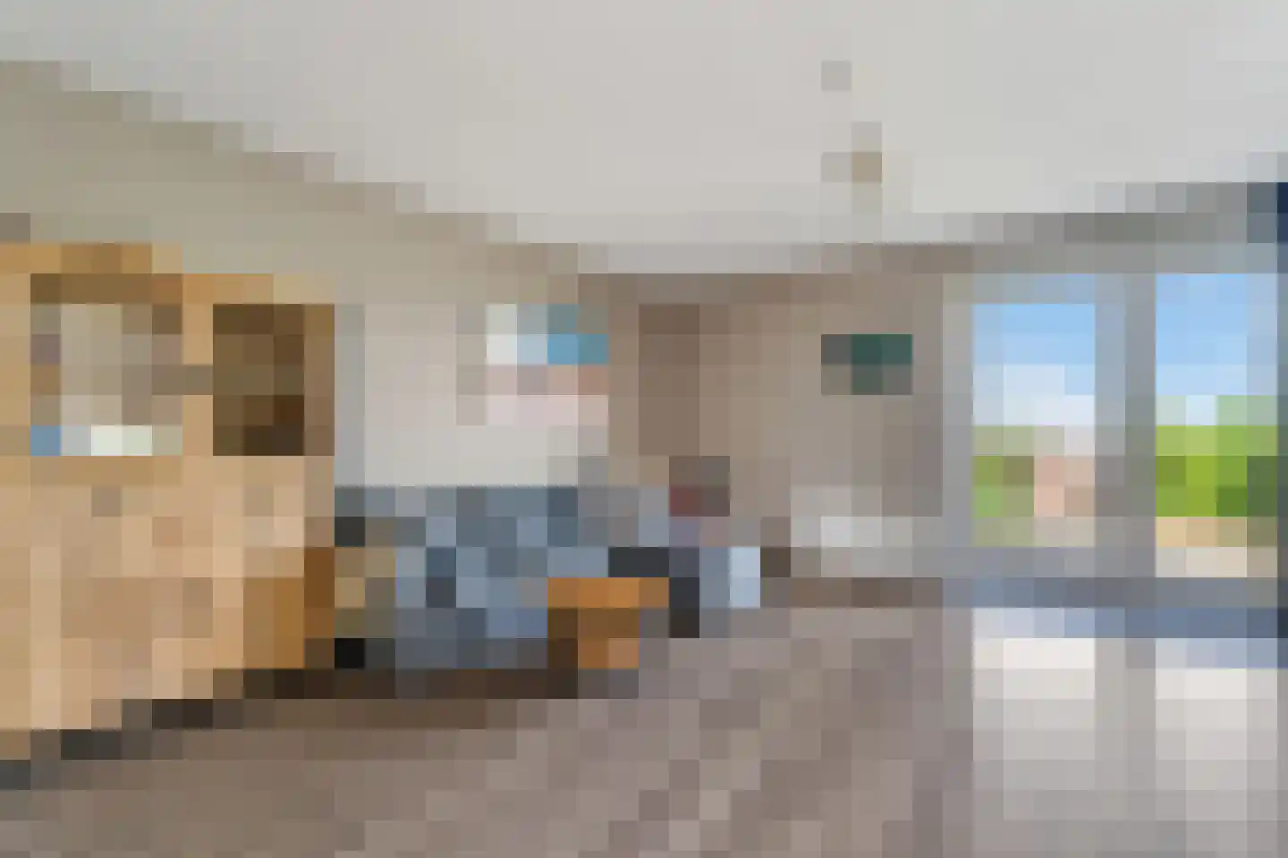 Drapeniersgilde 121 Hasselt thumbnail 12