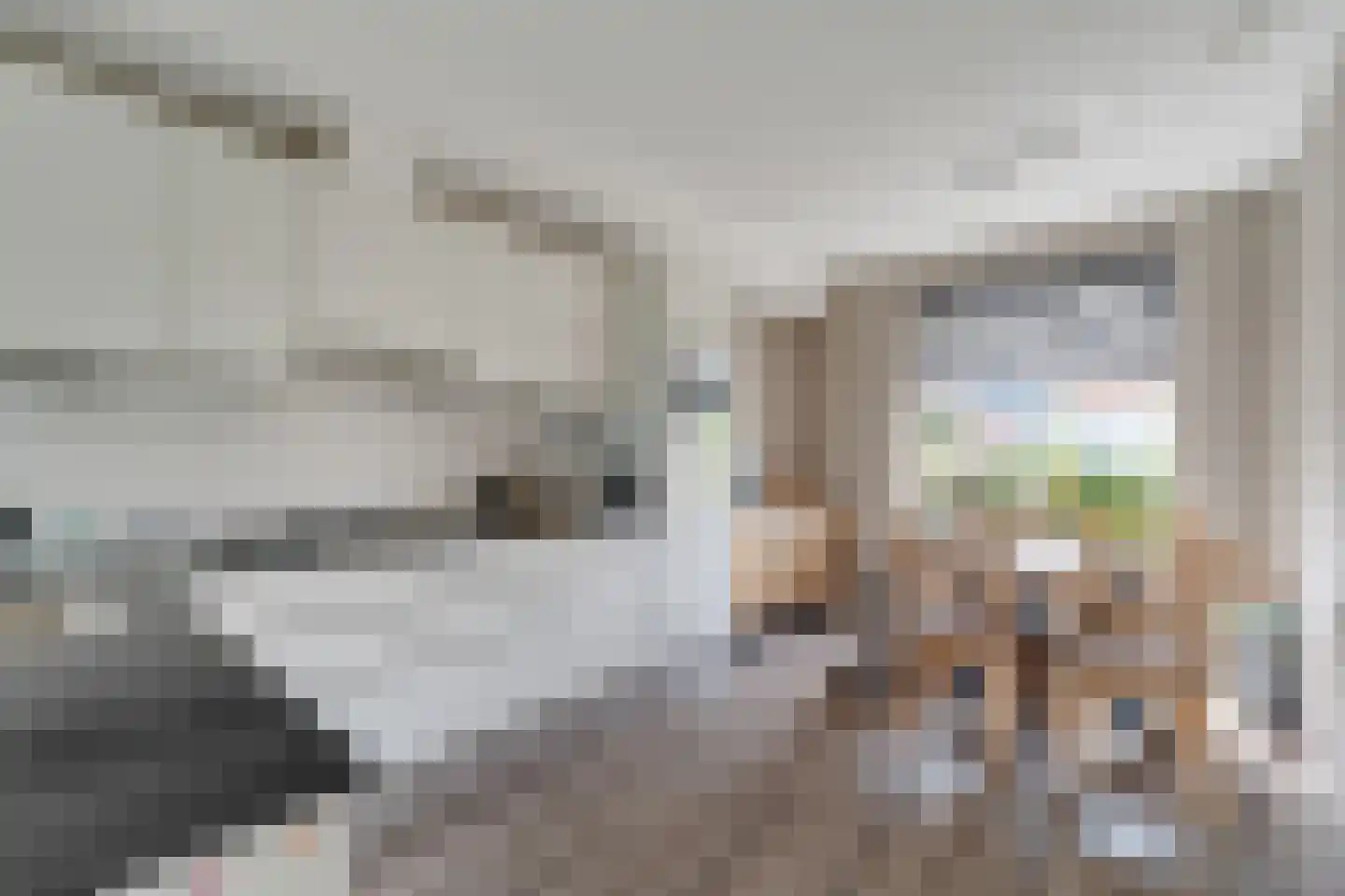 Drapeniersgilde 121 Hasselt thumbnail 13
