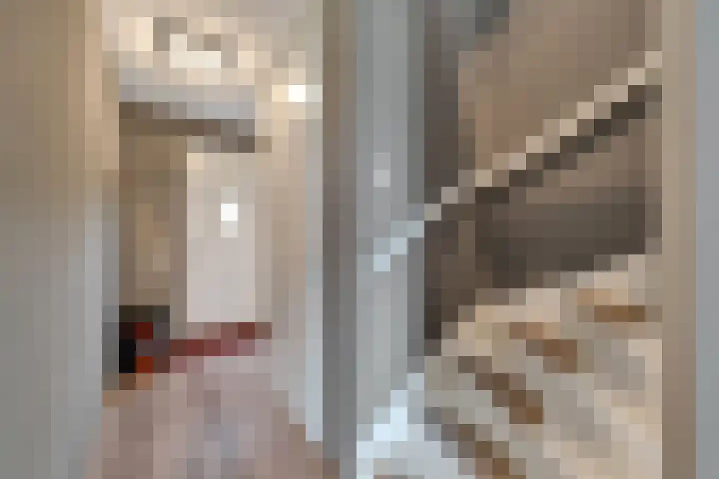 Drapeniersgilde 121 Hasselt thumbnail 16