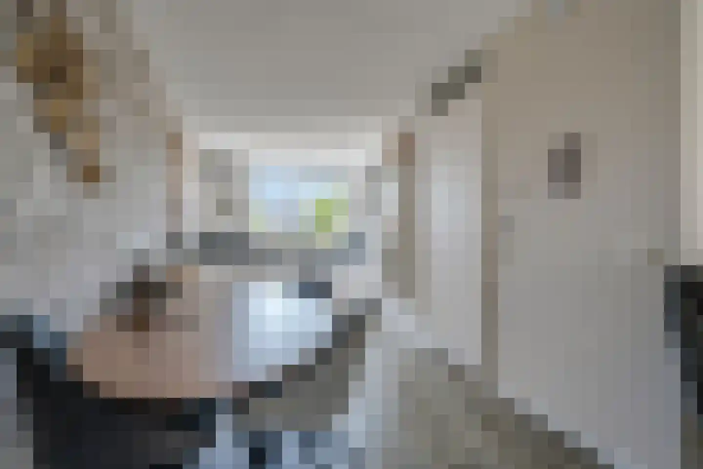 Drapeniersgilde 14 Hasselt thumbnail 13