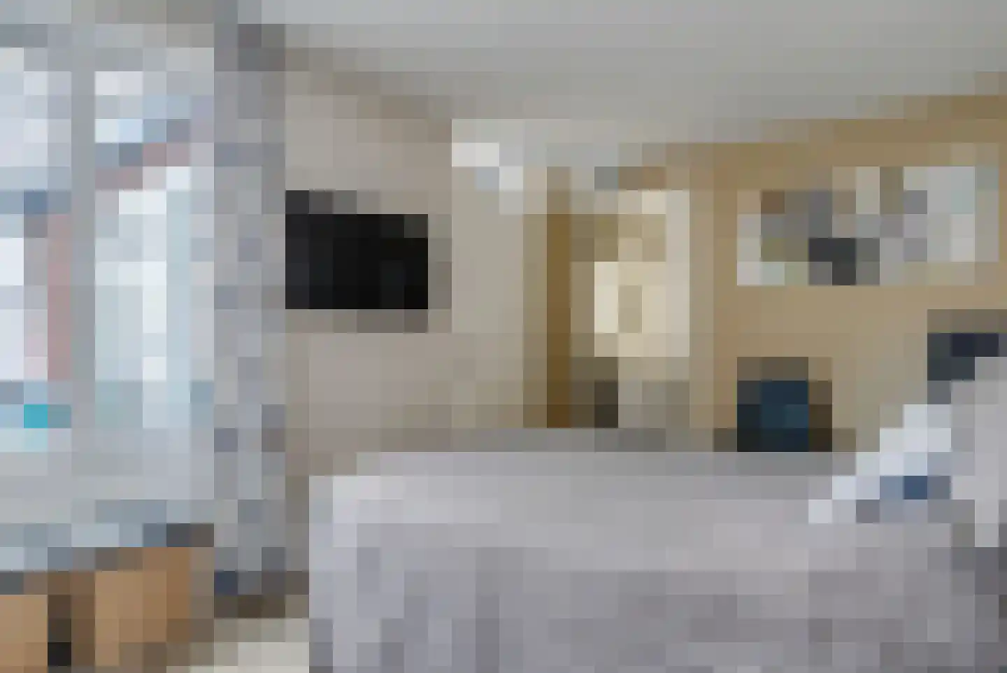 Drapeniersgilde 14 Hasselt thumbnail 18