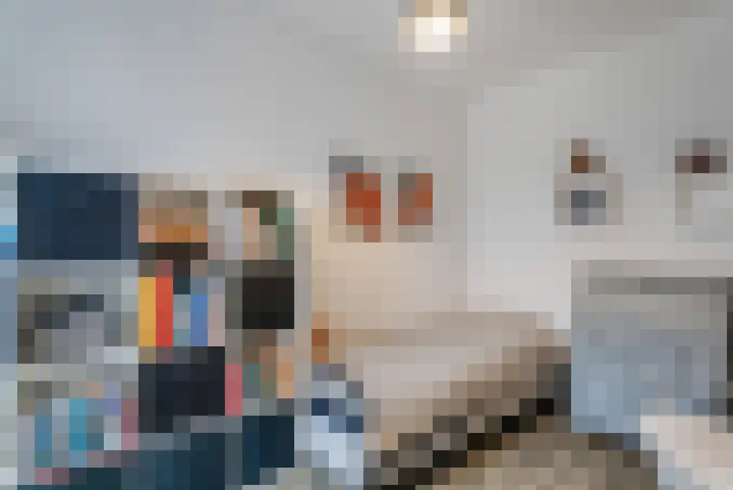 Drapeniersgilde 14 Hasselt thumbnail 21