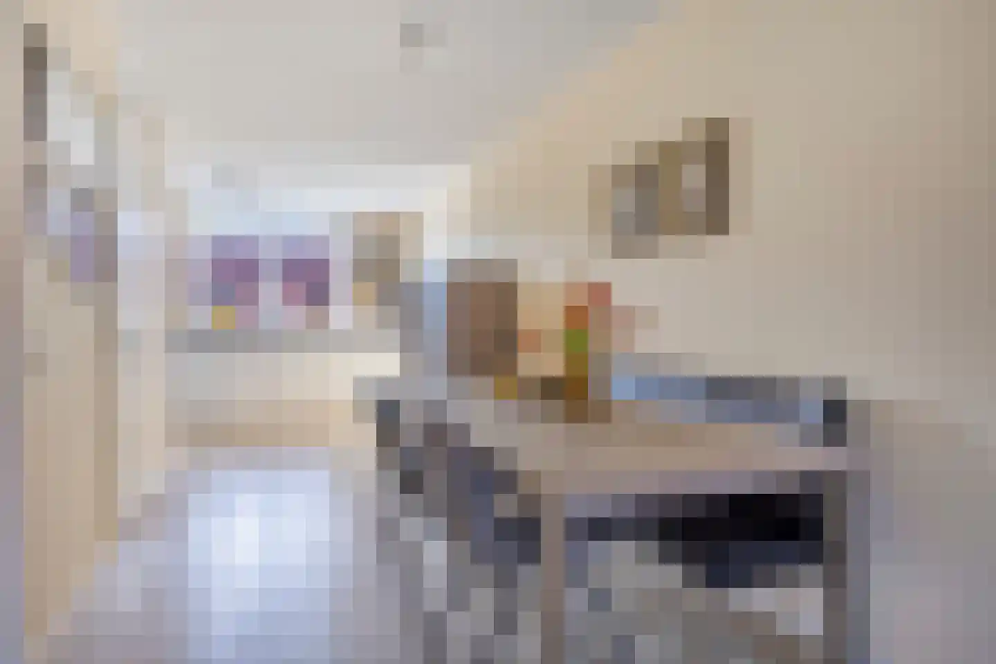 Drapeniersgilde 16 Hasselt thumbnail 18