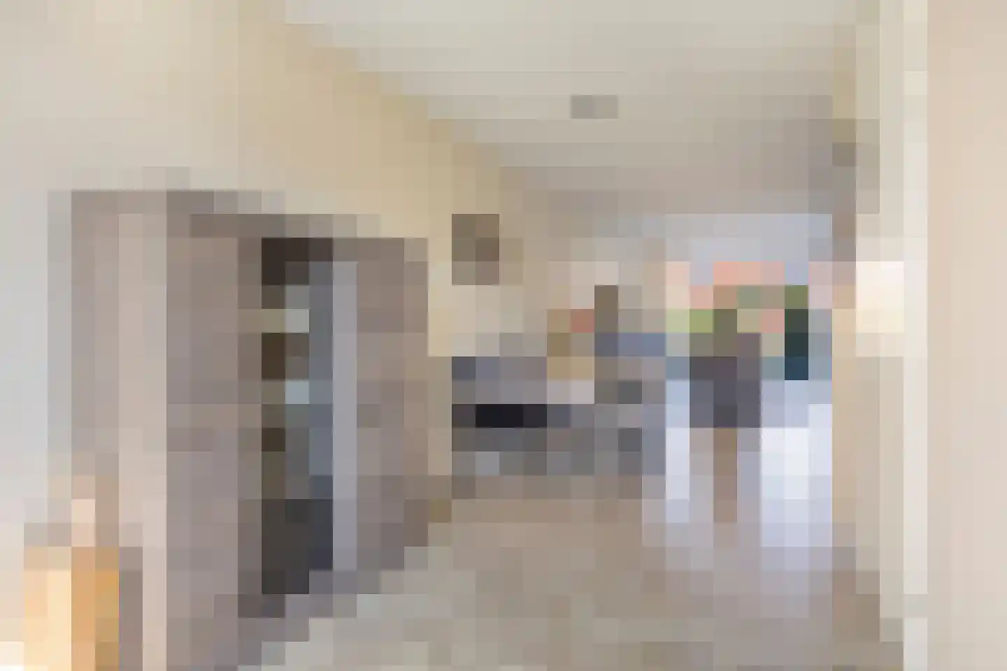 Drapeniersgilde 16 Hasselt thumbnail 19