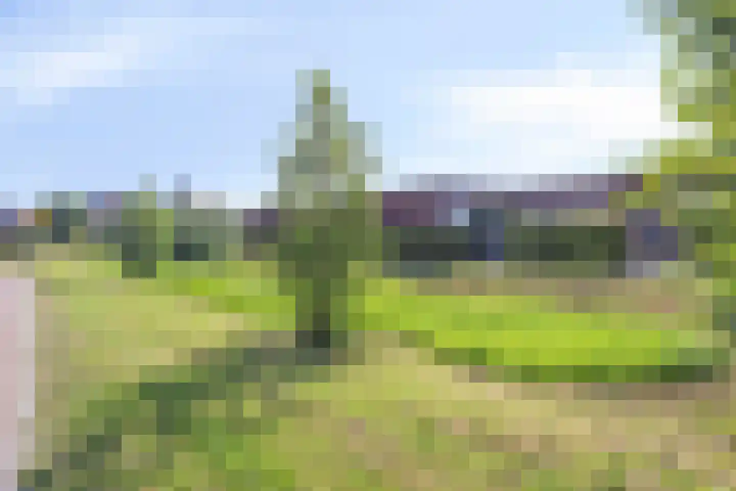 Drapeniersgilde 16 Hasselt thumbnail 42