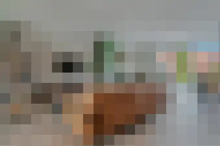 Drapeniersgilde 18 Hasselt thumbnail 12