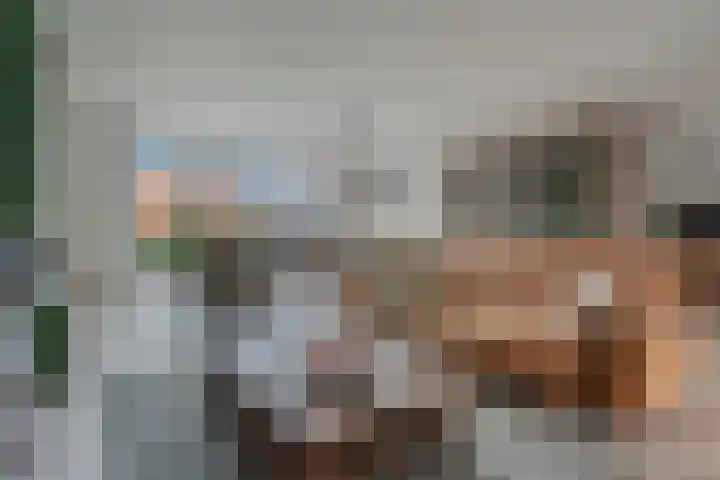Drapeniersgilde 18 Hasselt thumbnail 13