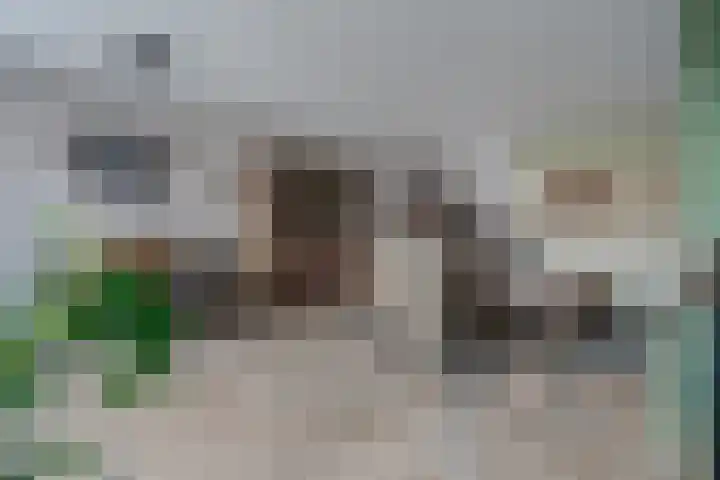 Drapeniersgilde 18 Hasselt thumbnail 18