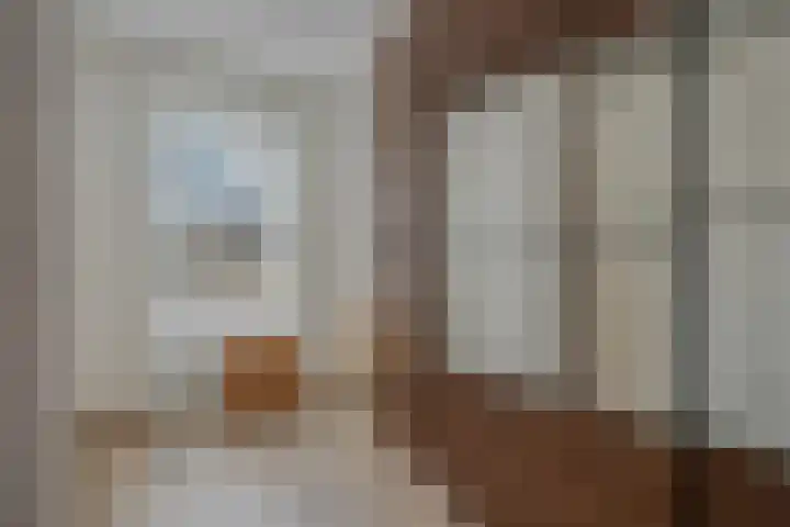 Drapeniersgilde 18 Hasselt thumbnail 28