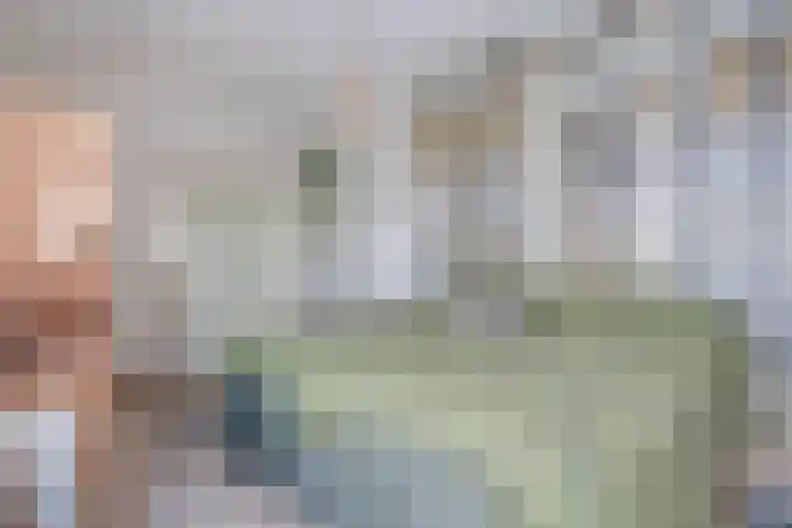 Drapeniersgilde 18 Hasselt thumbnail 29