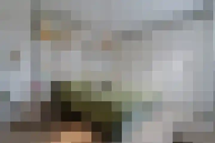 Drapeniersgilde 18 Hasselt thumbnail 30