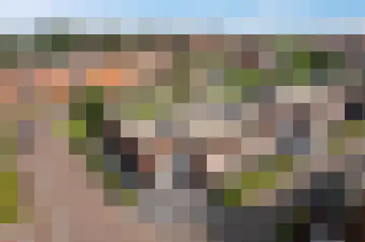 Drapeniersgilde 18 Hasselt thumbnail 36