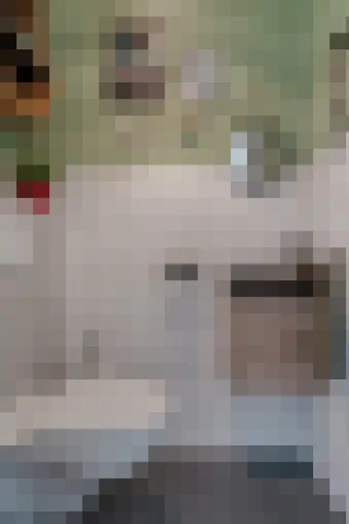 Drapeniersgilde 18 Hasselt thumbnail 8