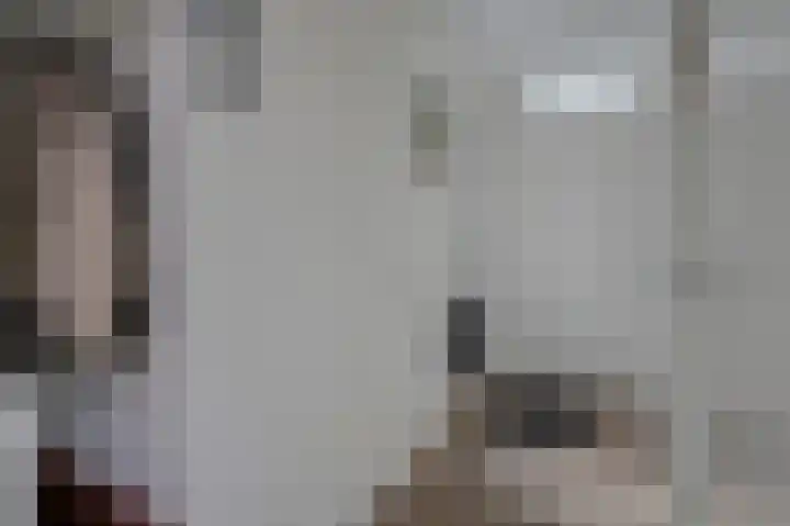 Drapeniersgilde 18 Hasselt thumbnail 9