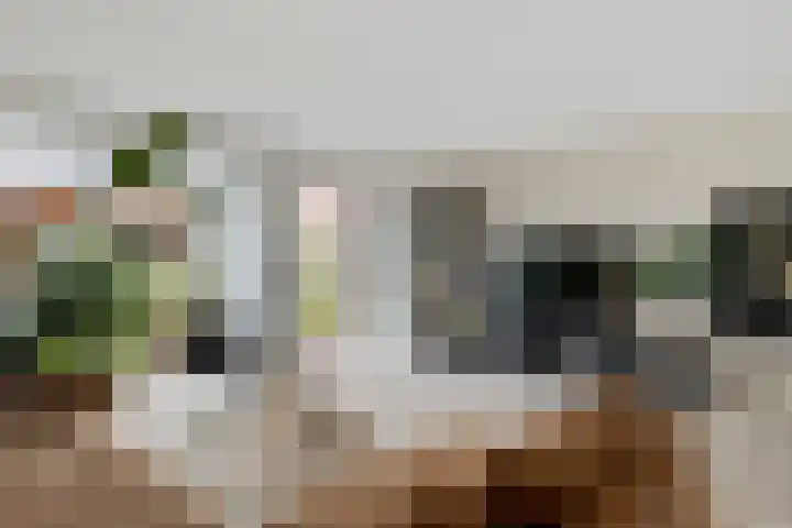 Drapeniersgilde 27 Hasselt thumbnail 13