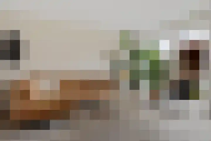 Drapeniersgilde 27 Hasselt thumbnail 16