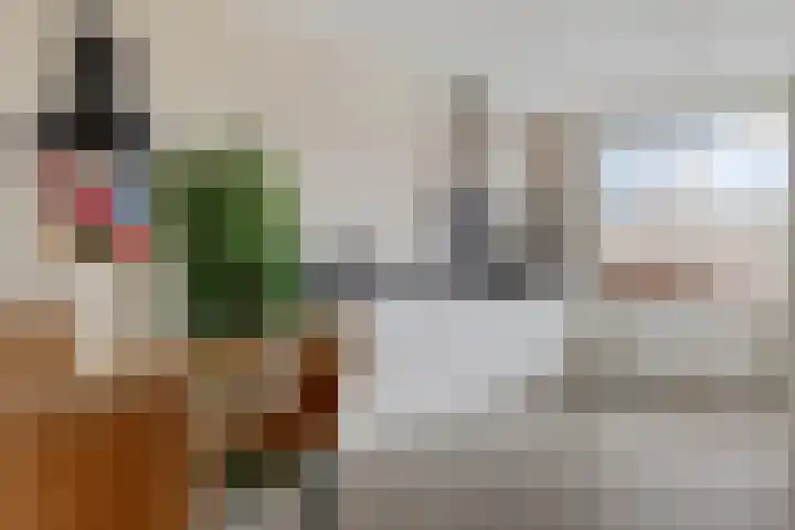 Drapeniersgilde 27 Hasselt thumbnail 19