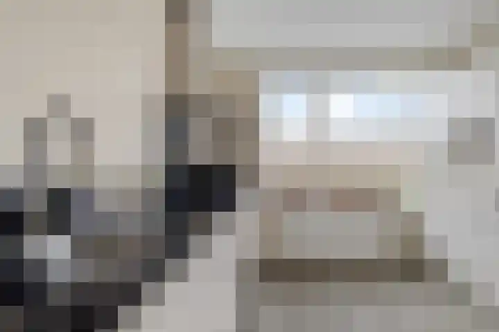 Drapeniersgilde 27 Hasselt thumbnail 22