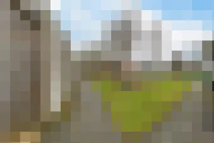 Drapeniersgilde 27 Hasselt thumbnail 28