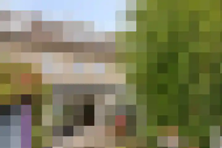Drapeniersgilde 27 Hasselt thumbnail 29
