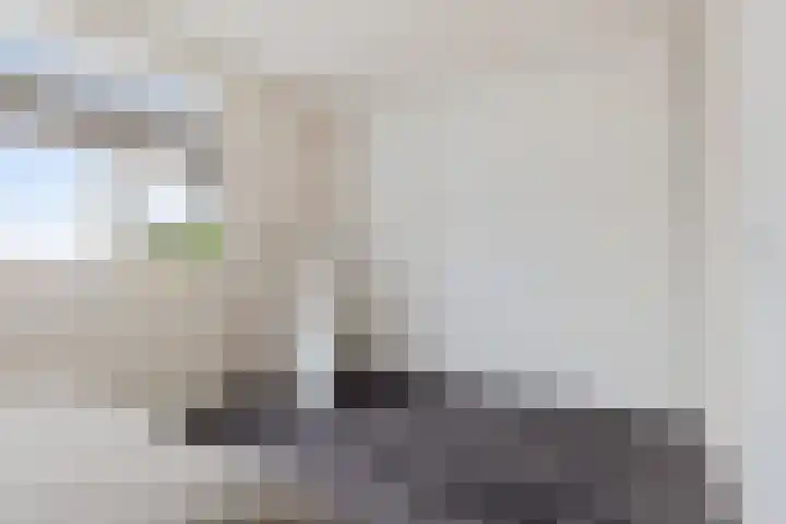 Drapeniersgilde 27 Hasselt thumbnail 32
