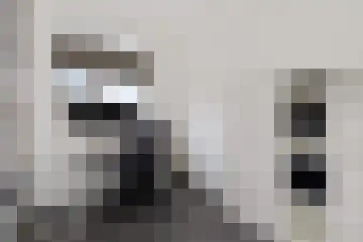 Drapeniersgilde 27 Hasselt thumbnail 38