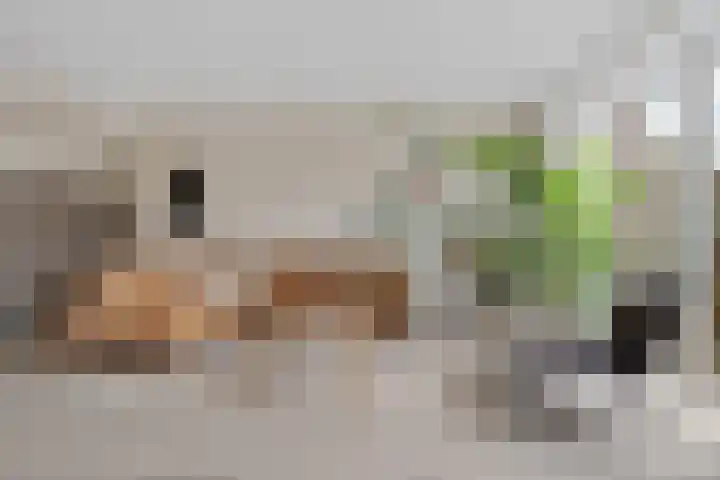 Drapeniersgilde 27 Hasselt thumbnail 4