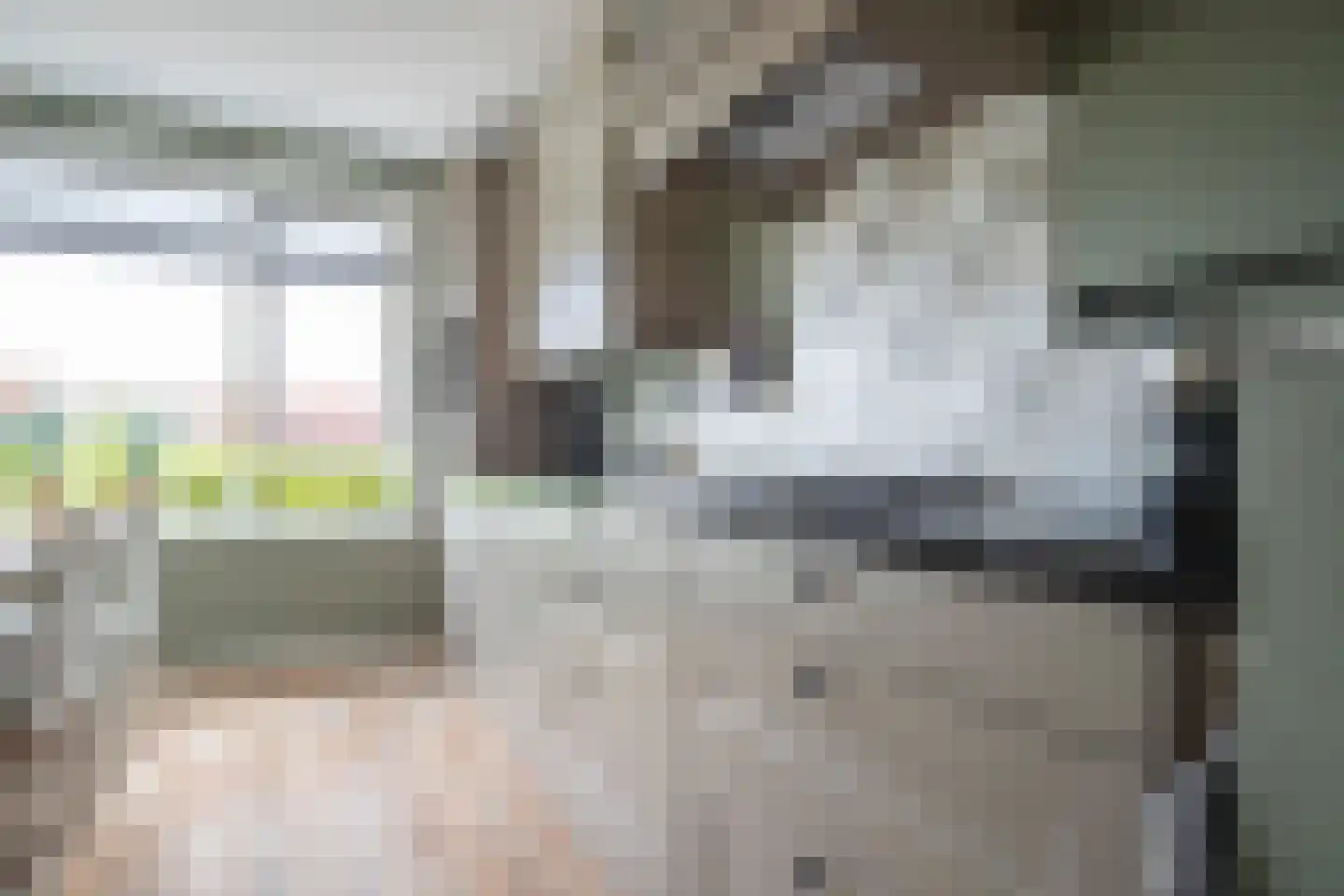 Drapeniersgilde 37 Hasselt thumbnail 20