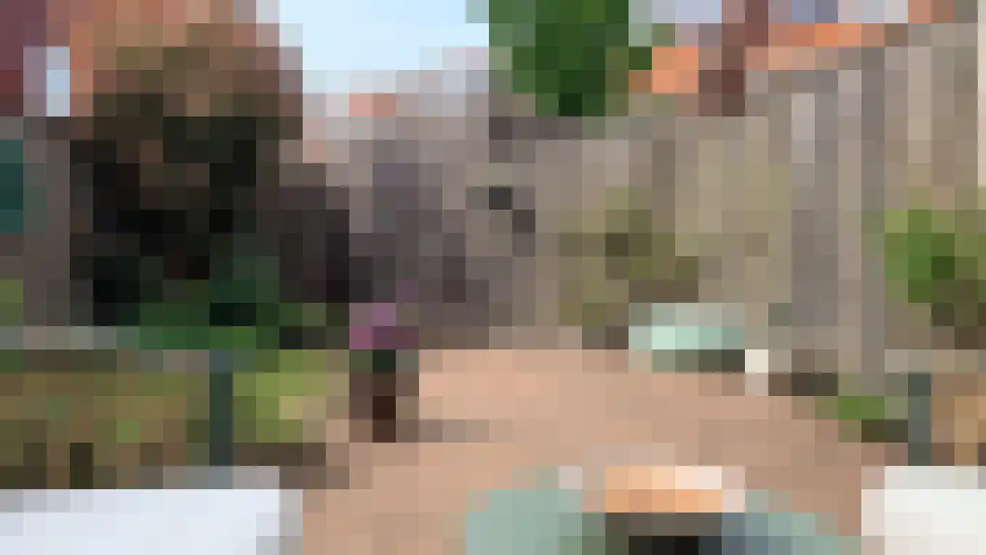 Drapeniersgilde 37 Hasselt thumbnail 30