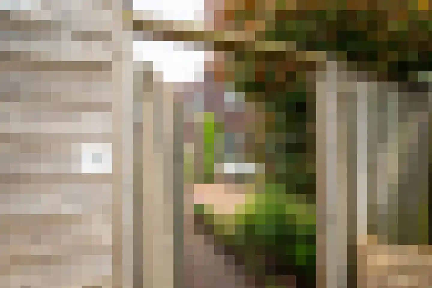 Drapeniersgilde 37 Hasselt thumbnail 31