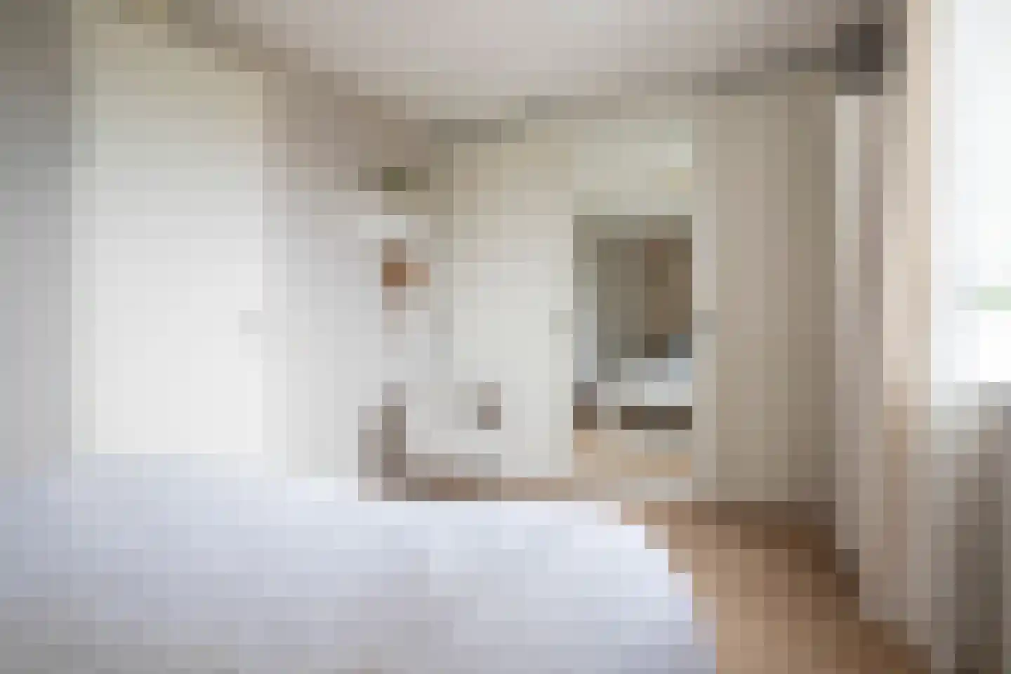Drapeniersgilde 37 Hasselt thumbnail 38