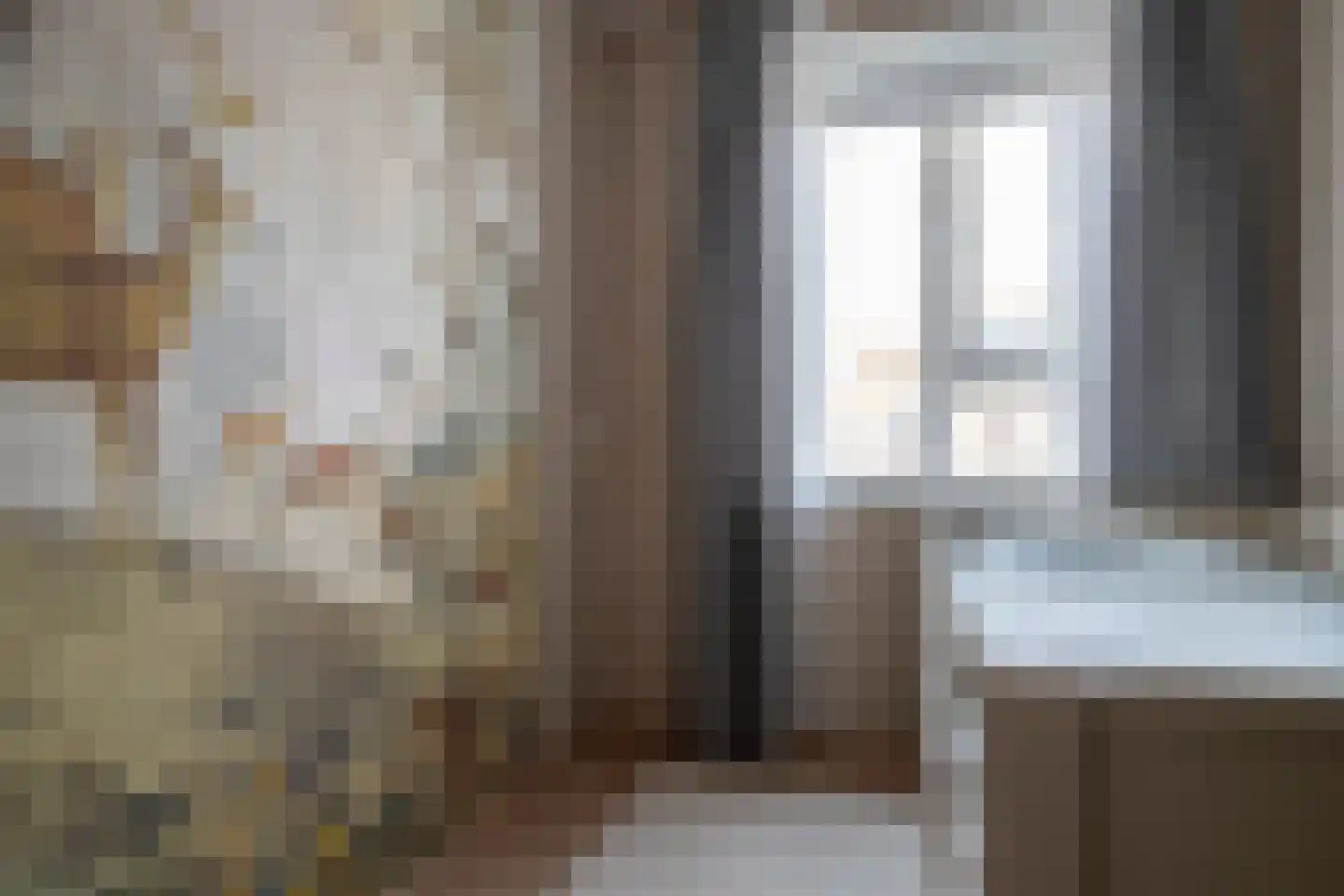 Drapeniersgilde 37 Hasselt thumbnail 40