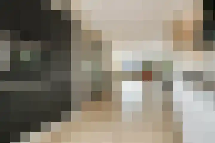Drapeniersgilde 52 Hasselt thumbnail 11