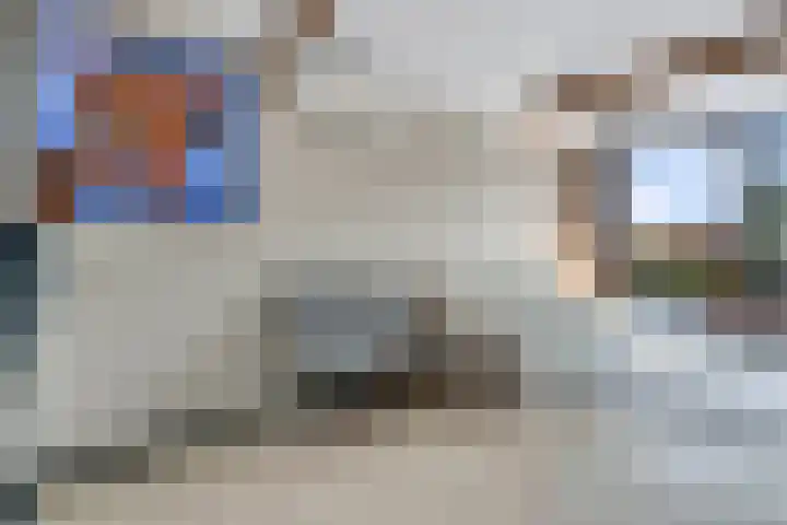 Drapeniersgilde 52 Hasselt thumbnail 14