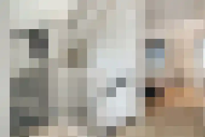 Drapeniersgilde 52 Hasselt thumbnail 17