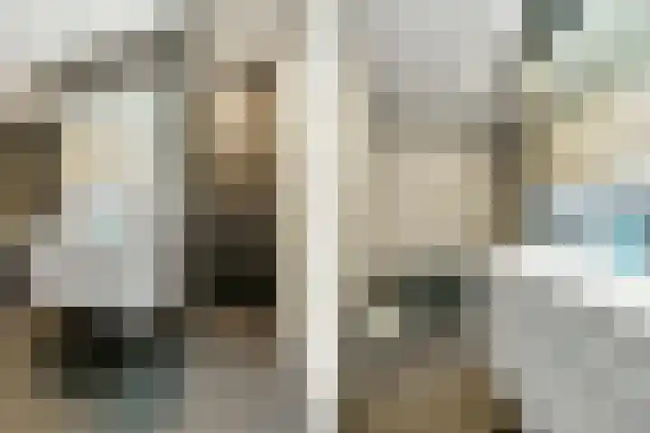 Drapeniersgilde 52 Hasselt thumbnail 24