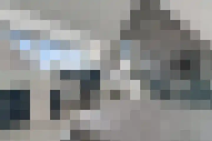 Drapeniersgilde 52 Hasselt thumbnail 26