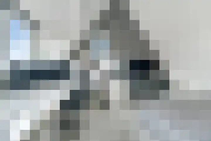 Drapeniersgilde 52 Hasselt thumbnail 27
