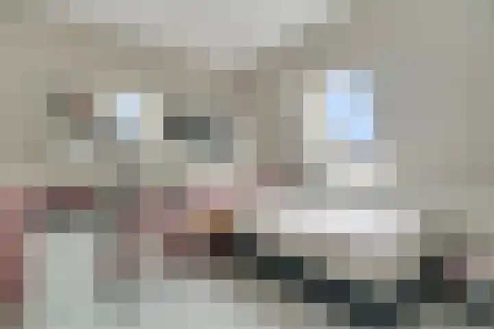 Drapeniersgilde 52 Hasselt thumbnail 28